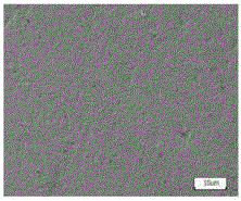 Method for modifying surface of metal cerium