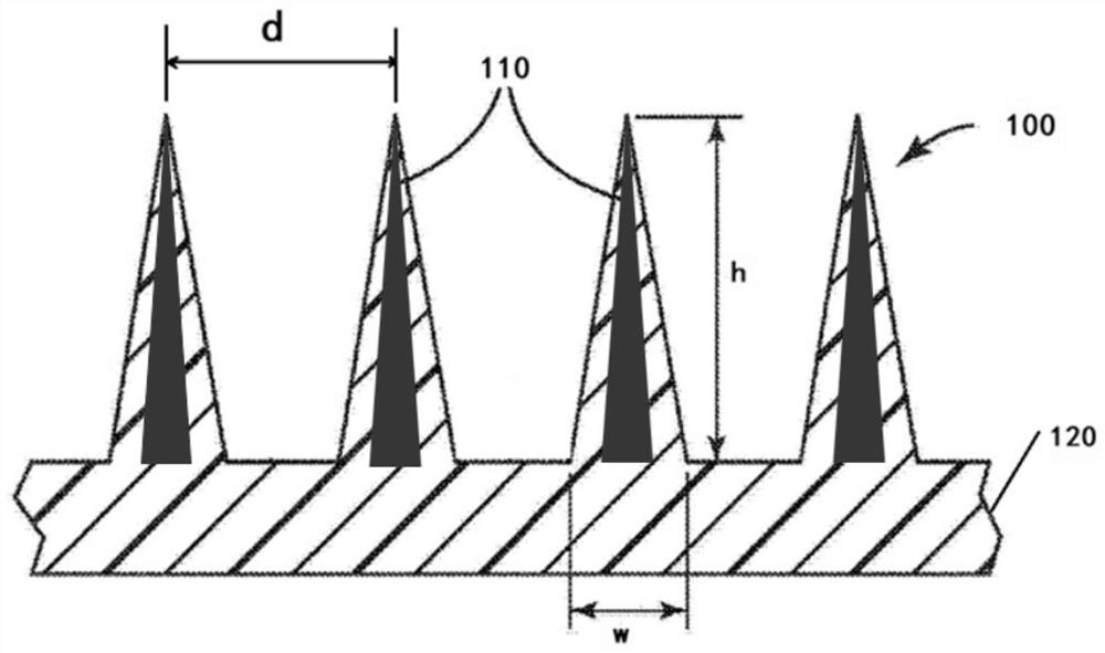 Anti-hair loss and hair growth integrated core-shell microneedle patch and preparation method thereof