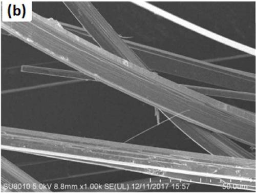 Method For Preparing Black Phosphorus Single Crystal And Doped Black ...