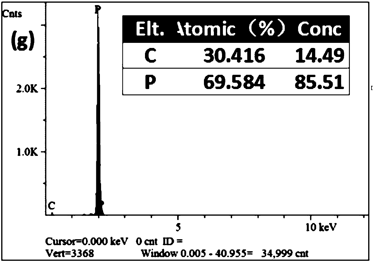 Method For Preparing Black Phosphorus Single Crystal And Doped Black ...