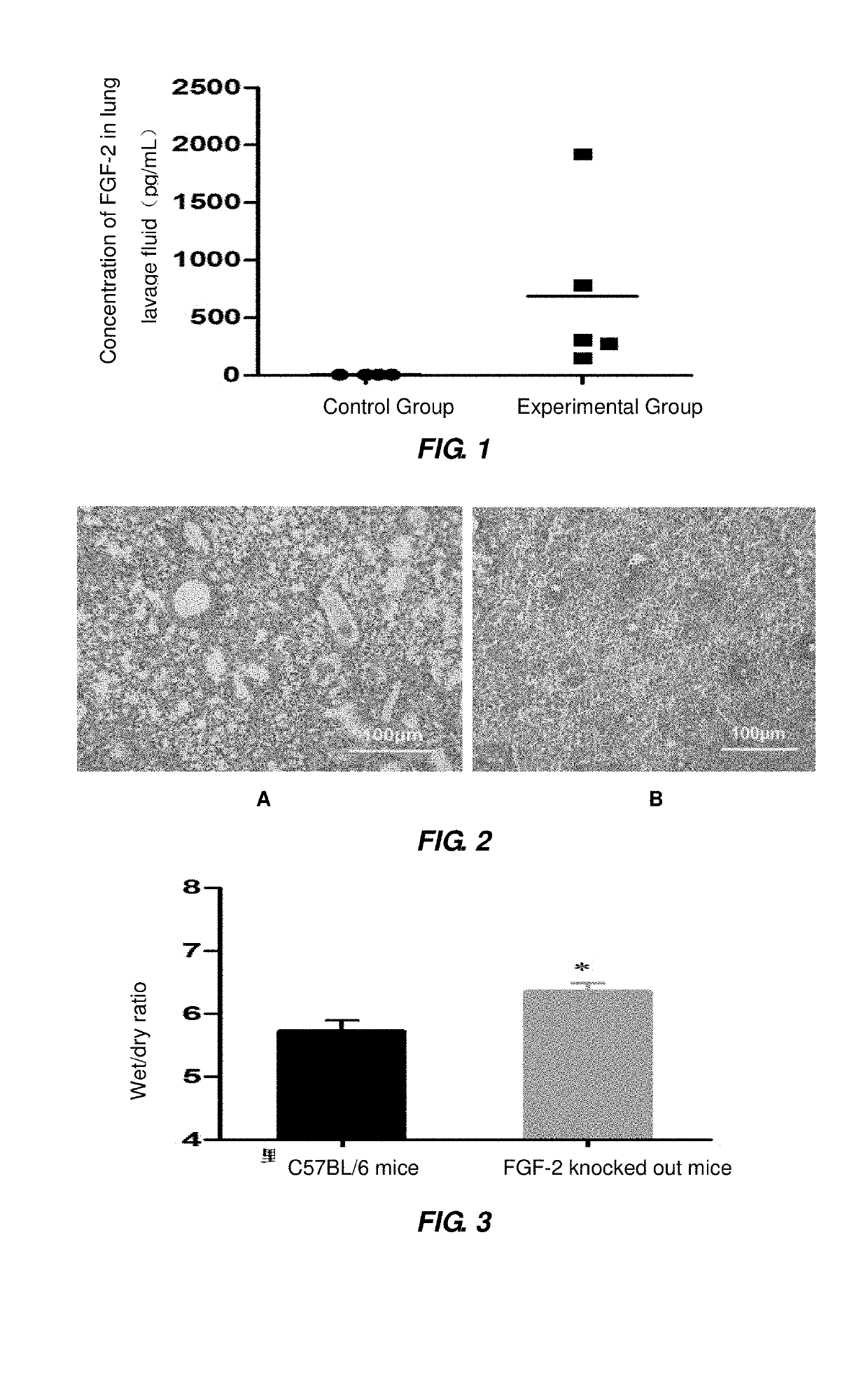 Use of fibroblast growth factor 2