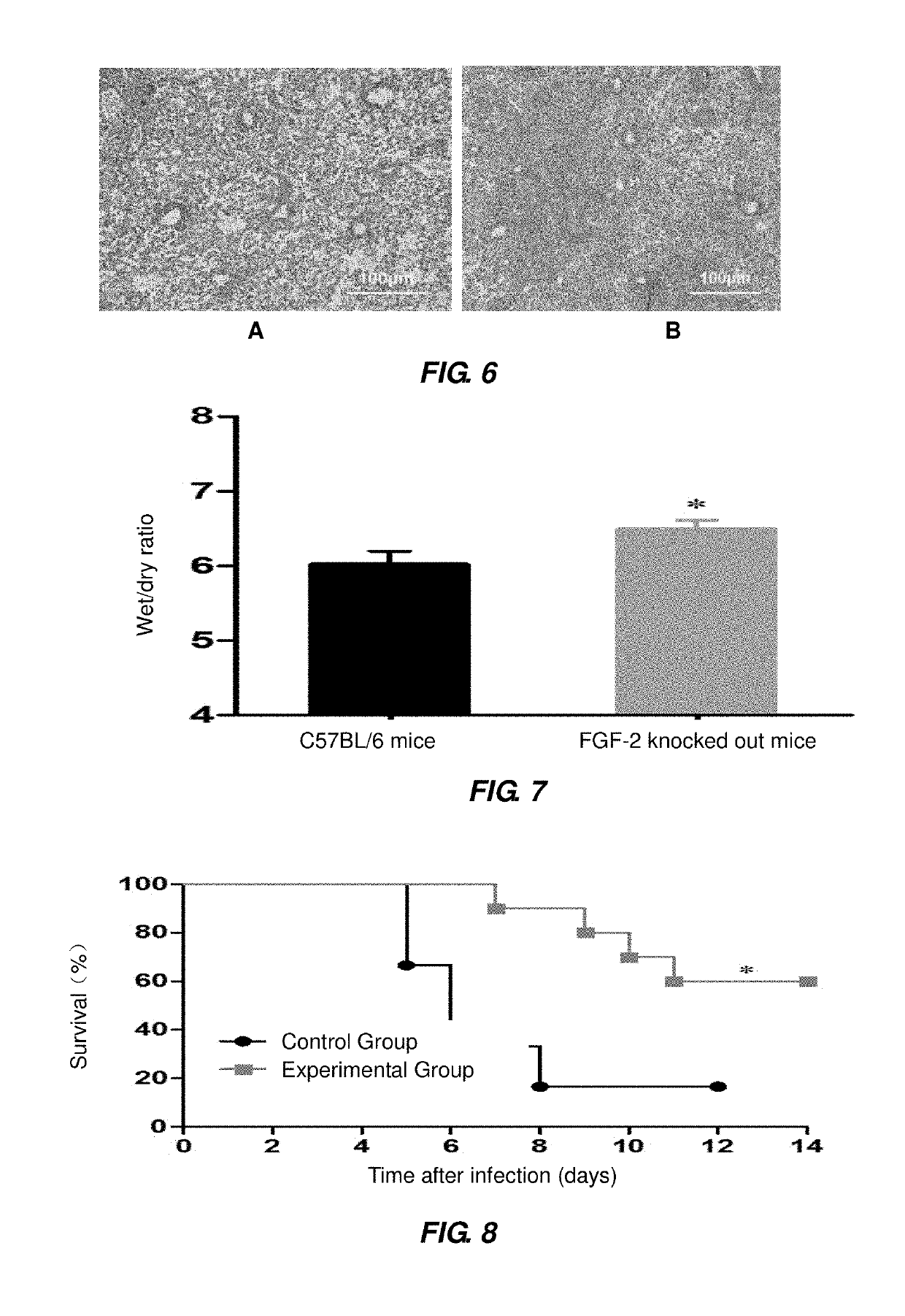 Use of fibroblast growth factor 2