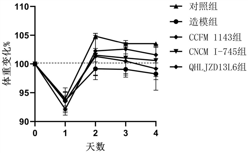 Lactobacillus plantarum capable of relieving diarrhea caused by ETEC and application of lactobacillus plantarum