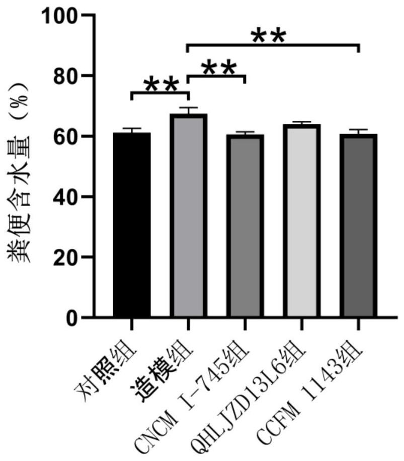 Lactobacillus plantarum capable of relieving diarrhea caused by ETEC and application of lactobacillus plantarum