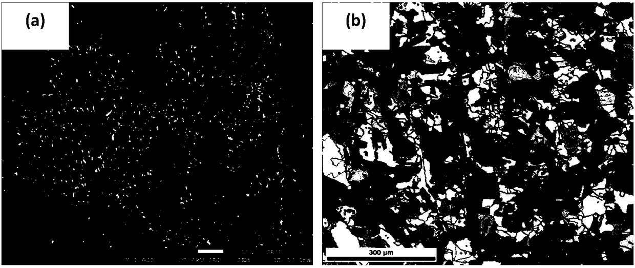 A kind of lead alloy anode plate for electrochemical metallurgy and preparation method thereof