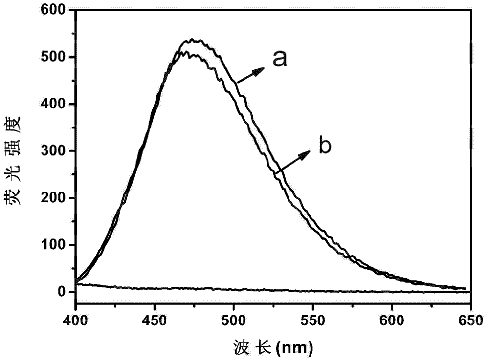 Fluorescent nanoparticle solution, as well as preparation method and application thereof