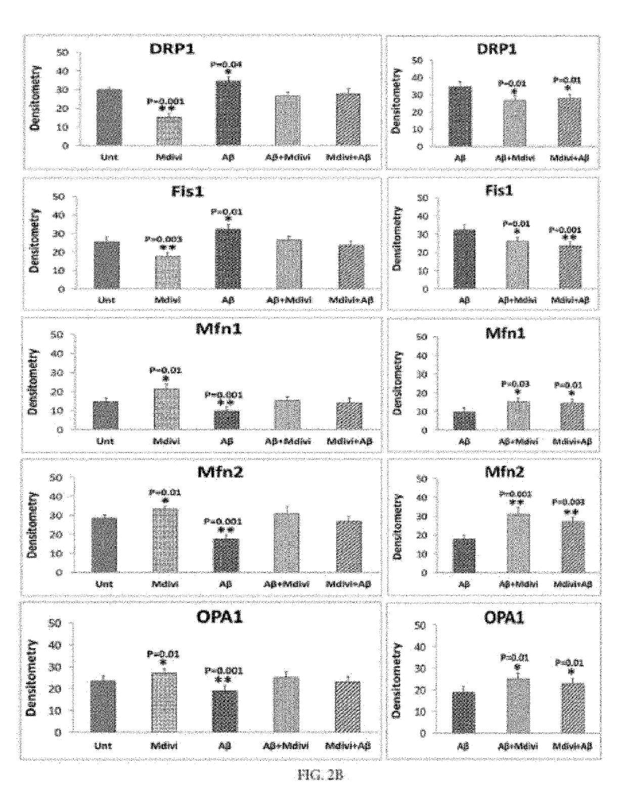 Mitochondria-Division Inhibitor 1 Protects Against Amyloid-B Induced Mitochondrial Fragmentation and Synaptic Damage in Alzheimer's Disease