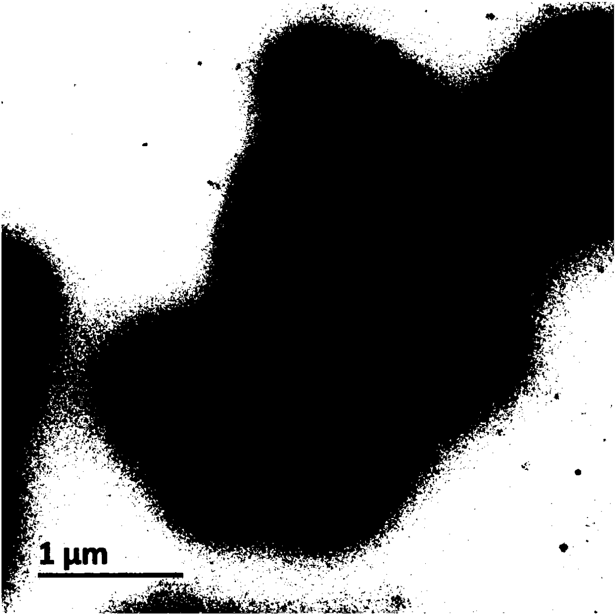 Preparation method of up-conversion fluorescent material with controllable grain diameter