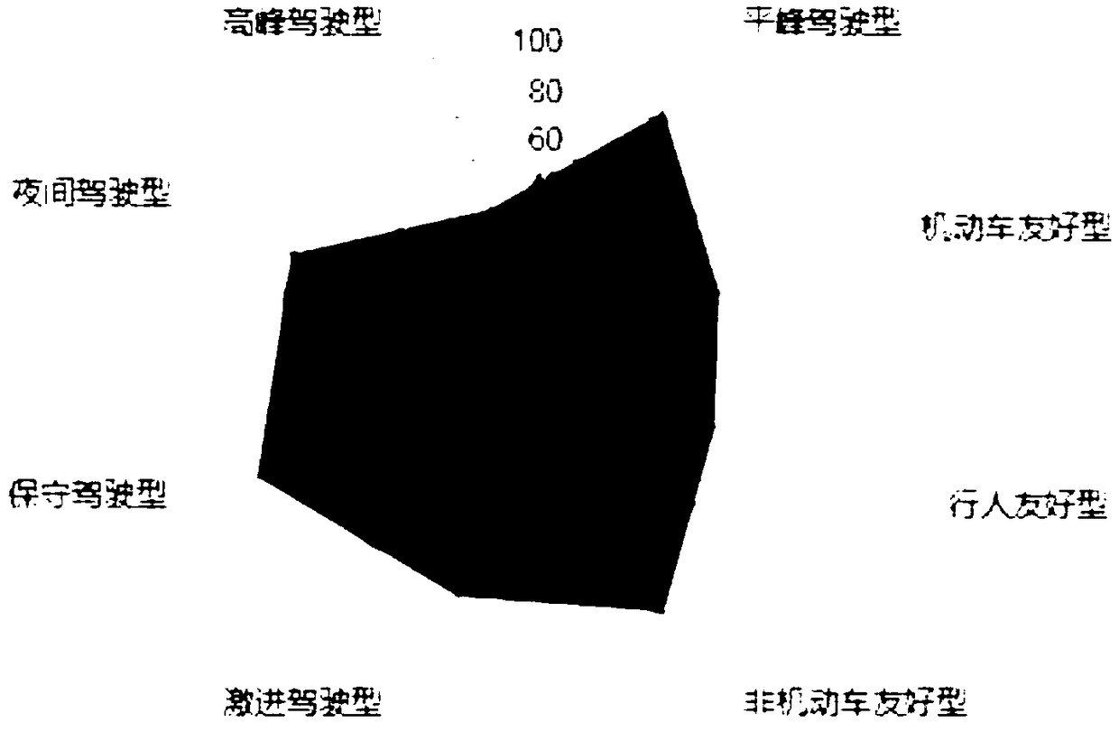 Driver safety portraying system