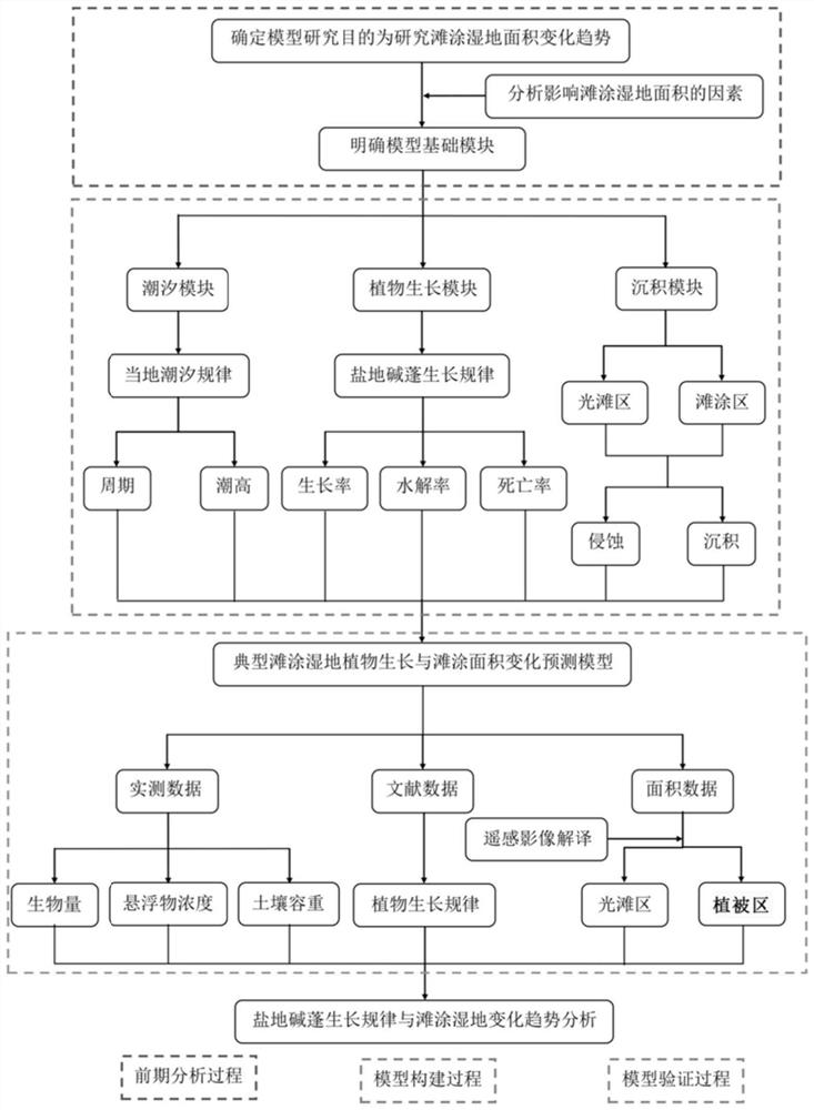 Methods based on the changing model of the tide zone area to predict the development trend of the future tide zone area