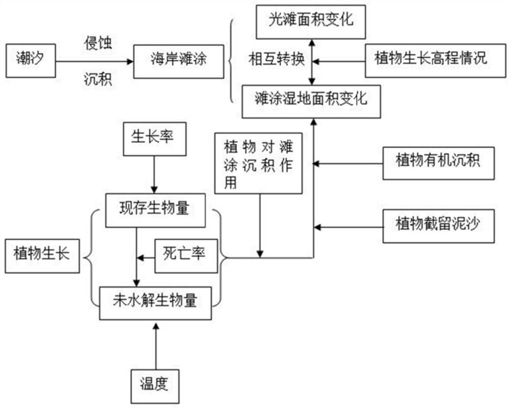 Methods based on the changing model of the tide zone area to predict the development trend of the future tide zone area