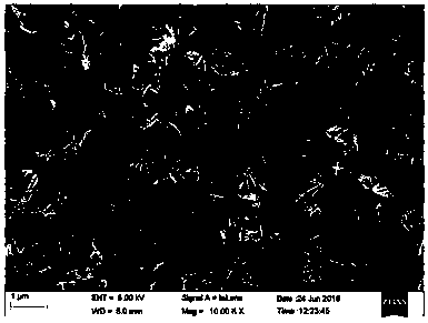 CuO nanosheet as well as preparation method and application thereof from top to bottom