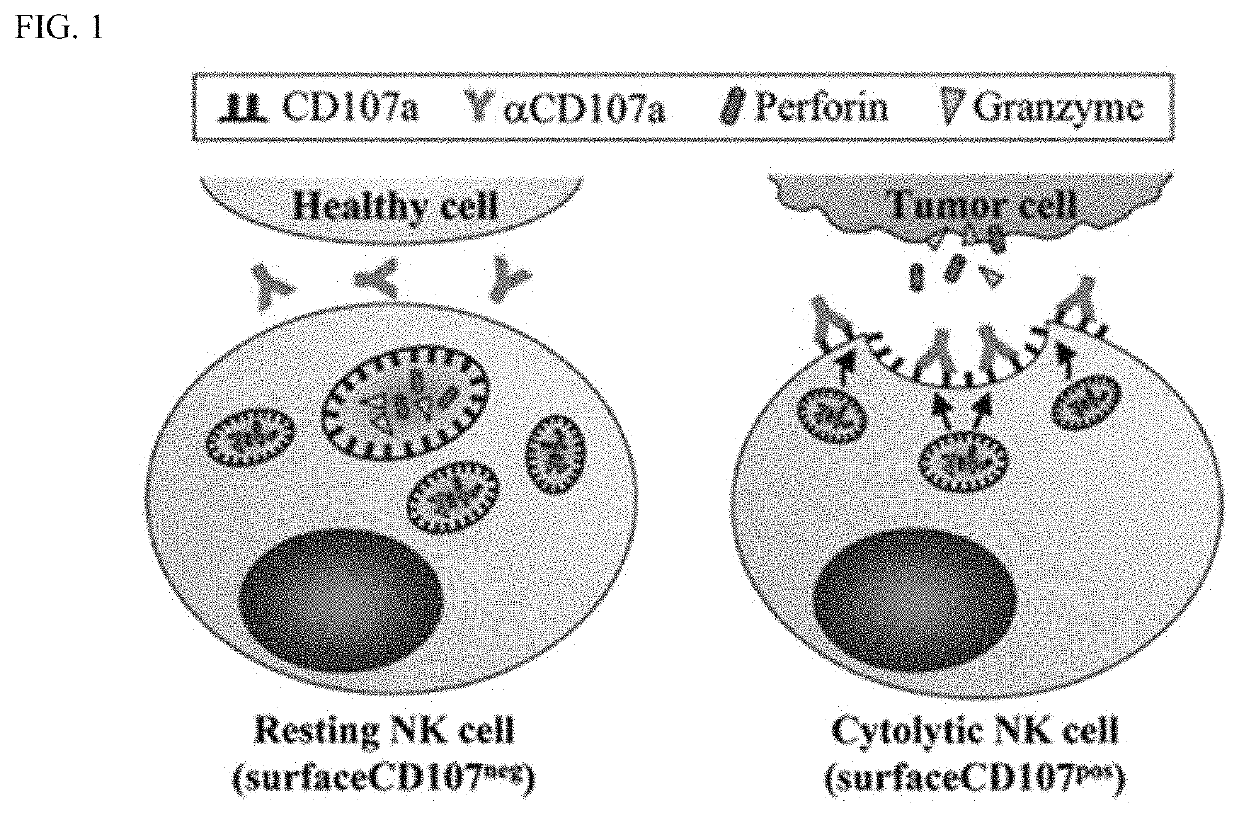 Method for enhancing immunity using ginsenoside F1 as an active ingredient