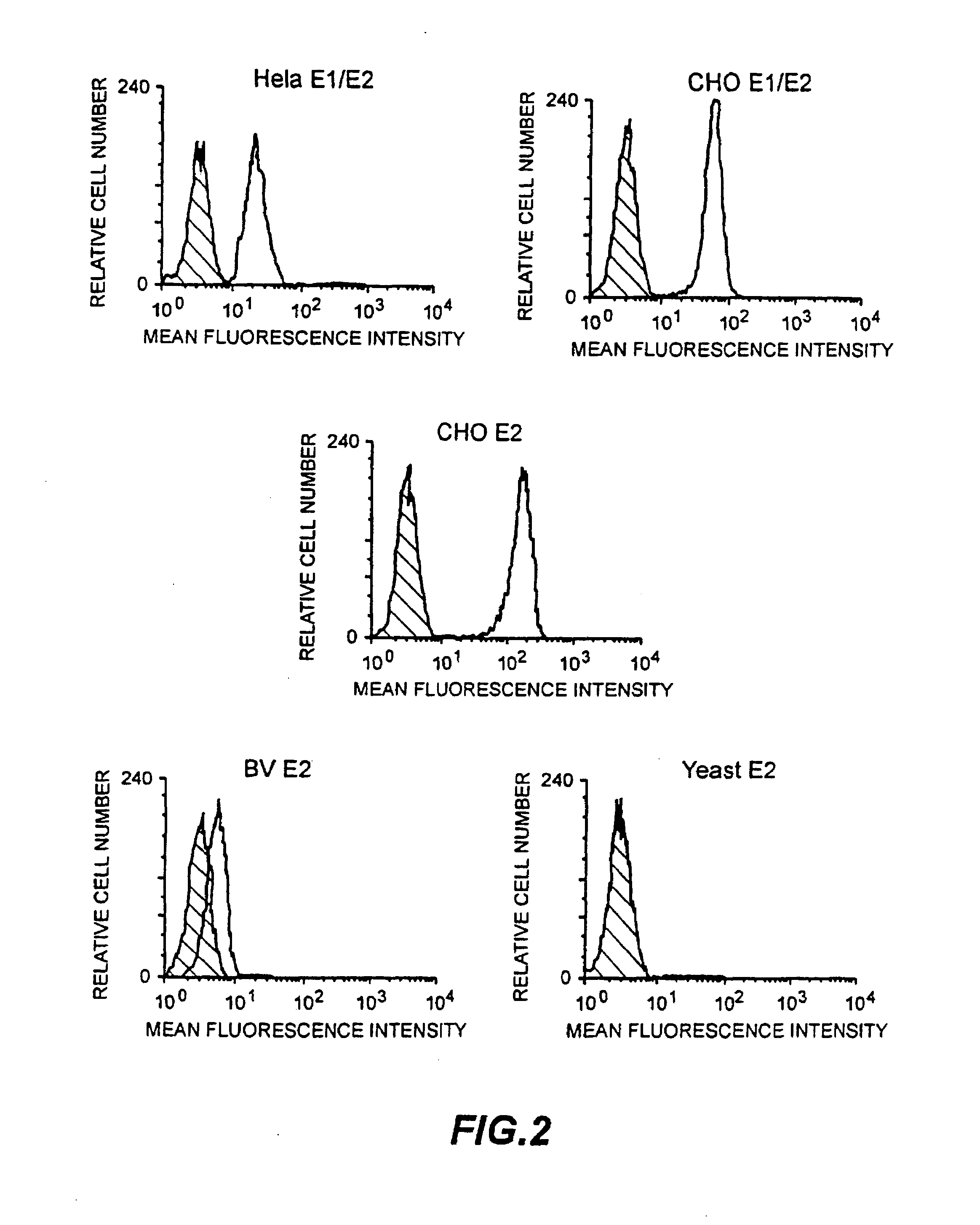 Assay to detect HCV receptor binding