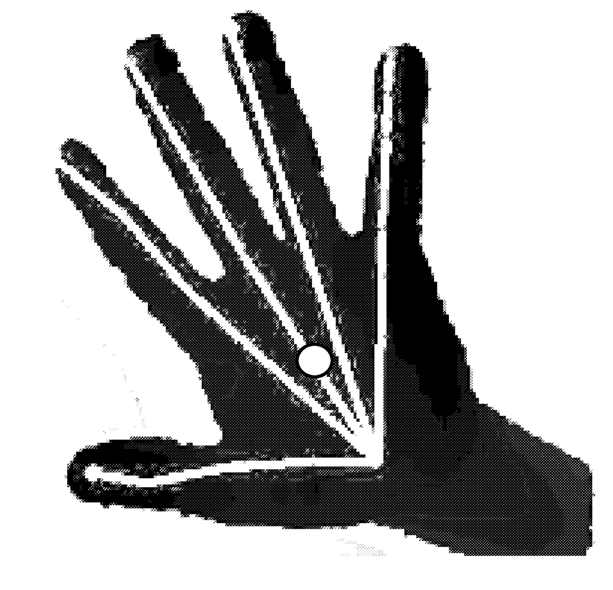 Fingertip identification for gesture control