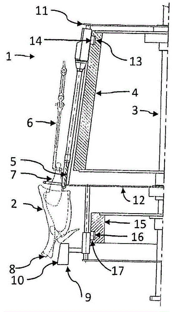 An apparatus for carrying out an operation on slaughtered poultry