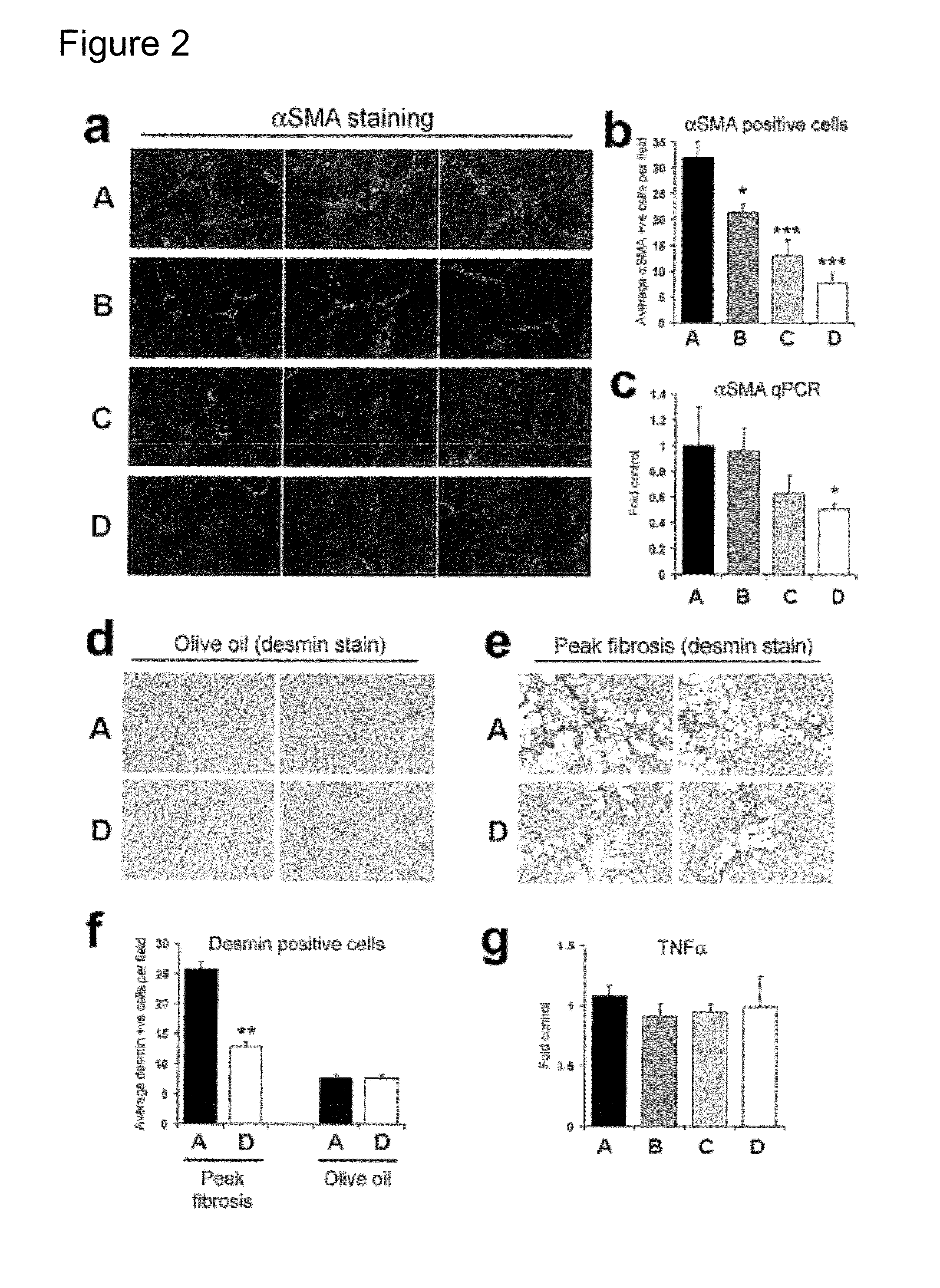 Methods relating to identification of susceptibility to liver injury