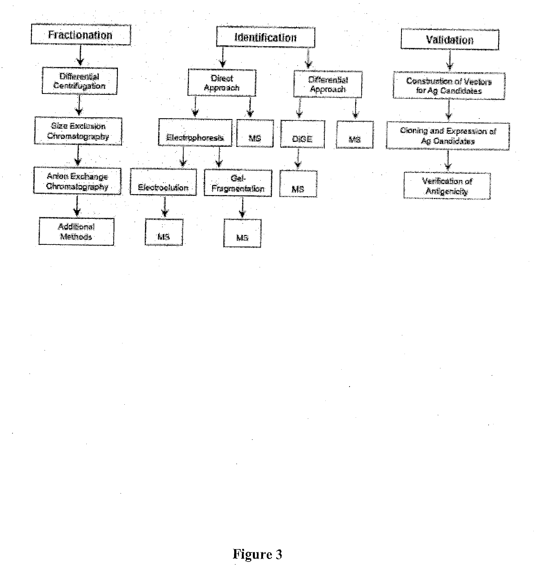 Methods and compositions for the treatment of autoimmune disease