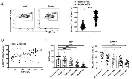 Application of SLAMF7 recombinant protein in preparation of drugs for treating sepsis