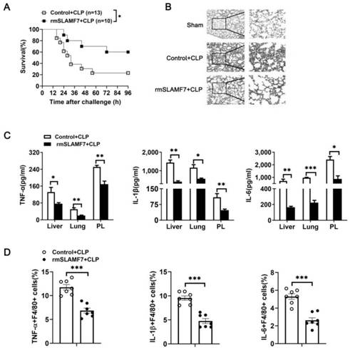 Application of SLAMF7 recombinant protein in preparation of drugs for treating sepsis