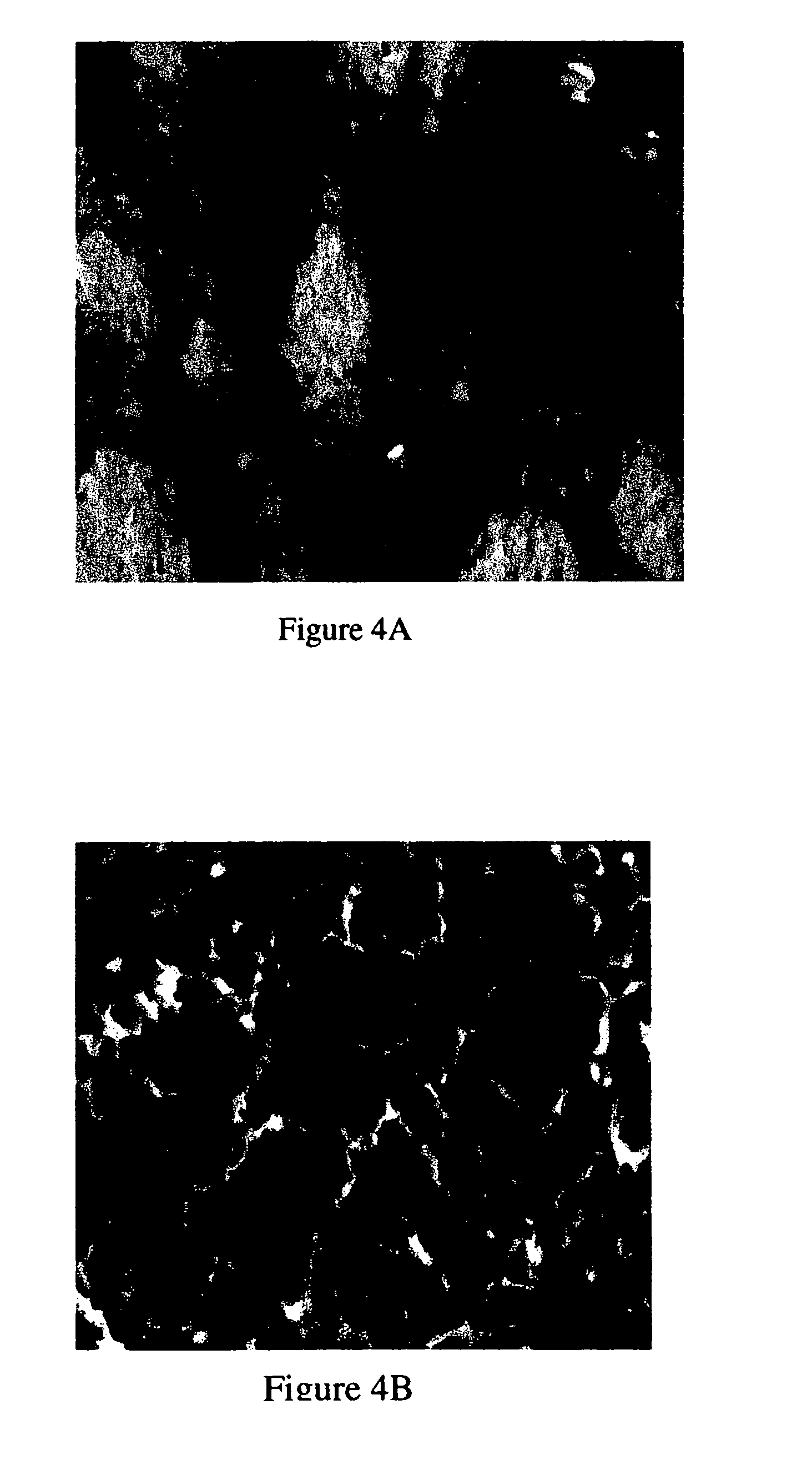 Method for using potassium channel agonists for delivering a medicant to an abnormal brain region and/or a malignant tumor