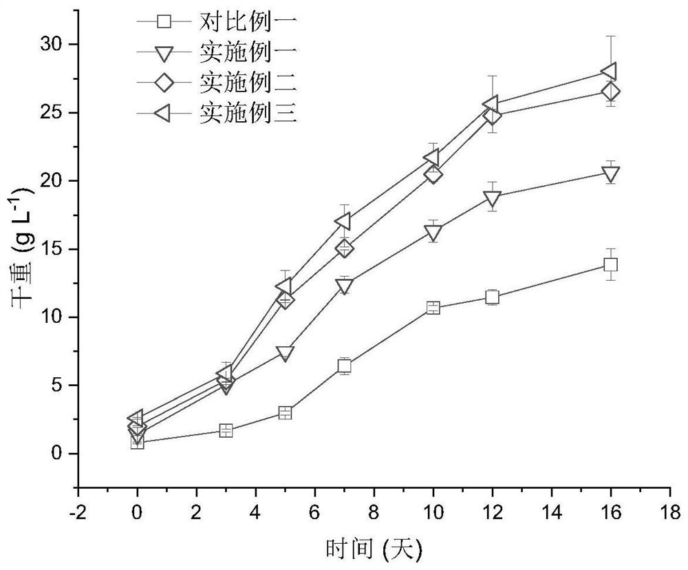 High-density and high-yield porphyridium culture method