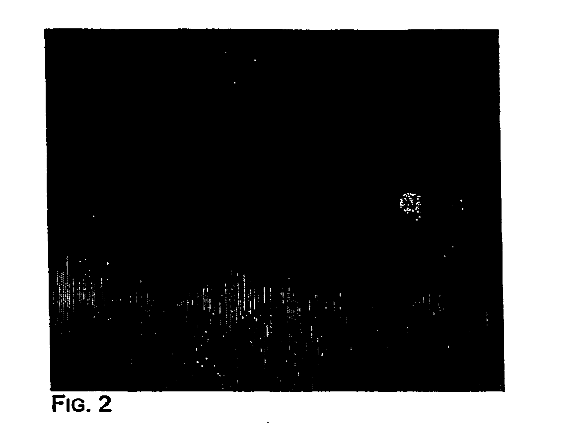 Method and Compositions for Detection and Enumeration of Genetic Variations