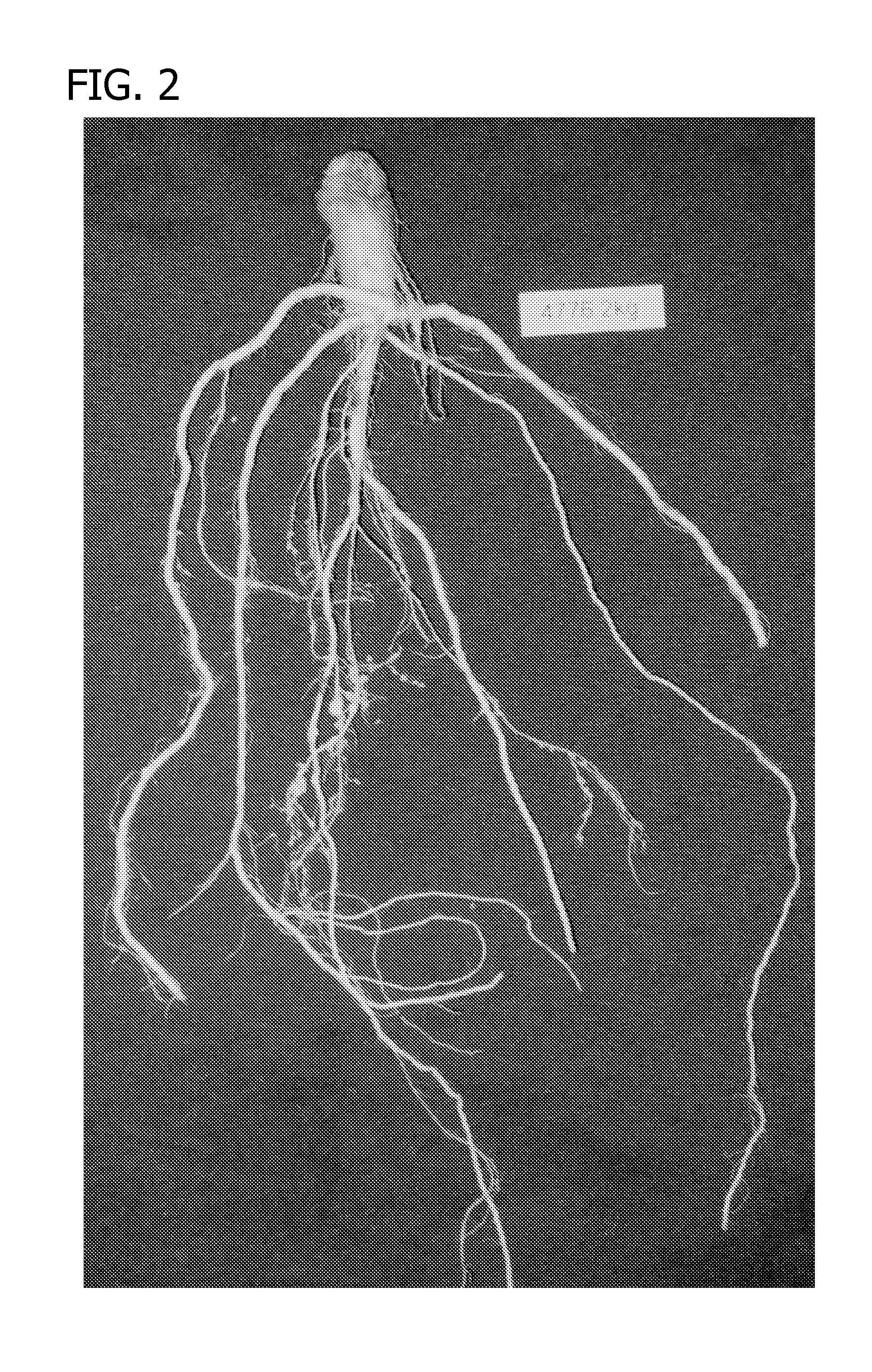 Compositions and methods for controlling nematodes