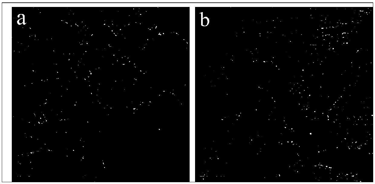 Preparation method of efficient stable Pt/GC catalyst