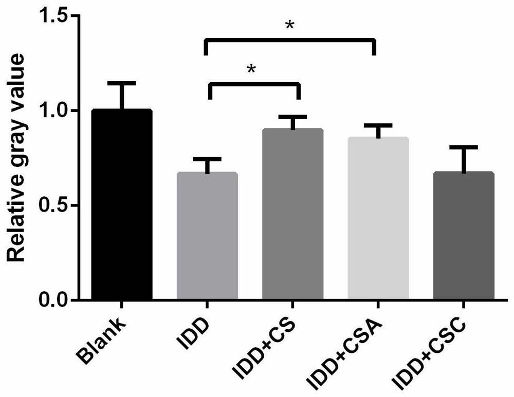 Application of chondroitin sulfate in preparation of medicine for preventing and treating intervertebral disc degeneration