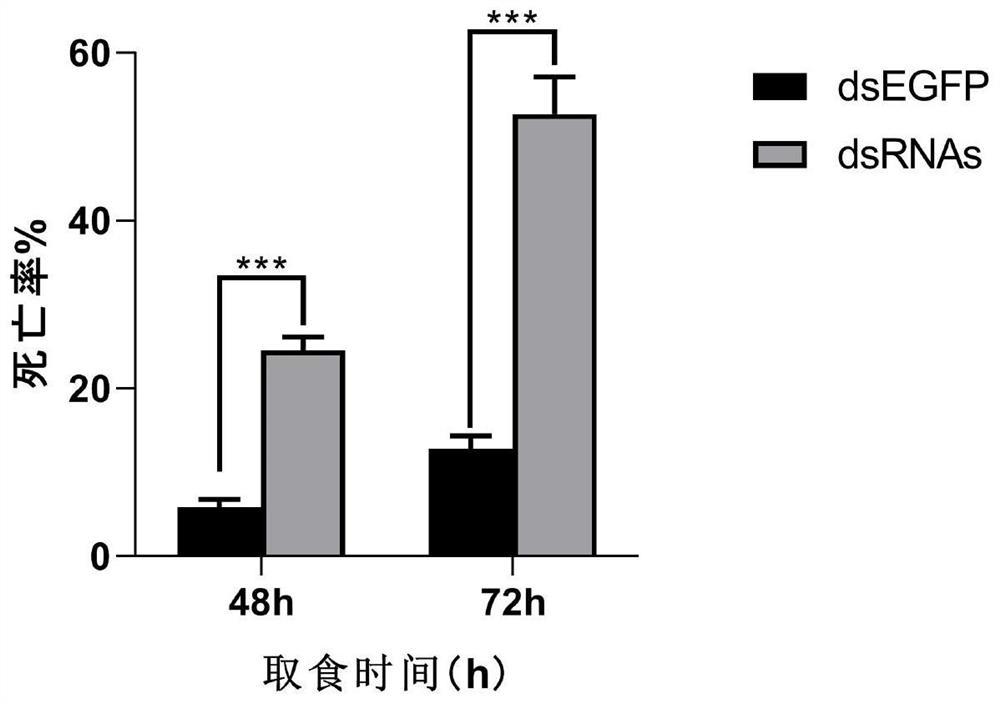 Group of bemisia tabaci prevention and control target genes and combined application thereof
