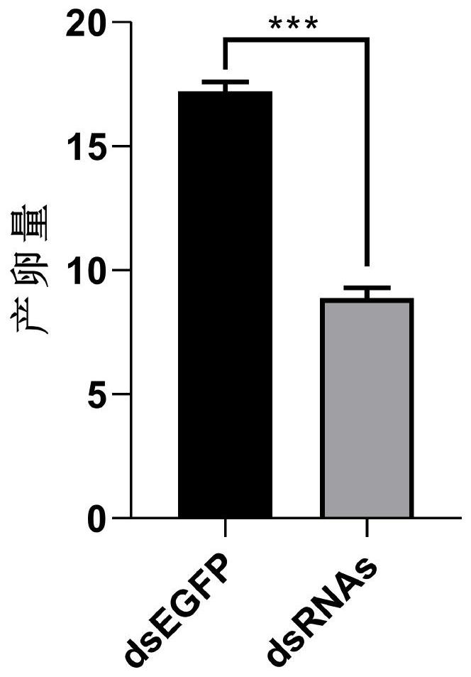 Group of bemisia tabaci prevention and control target genes and combined application thereof