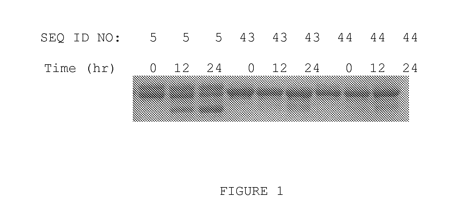 GLP-2 Mimetibodies, Polypeptides, Compositions, Methods and Uses