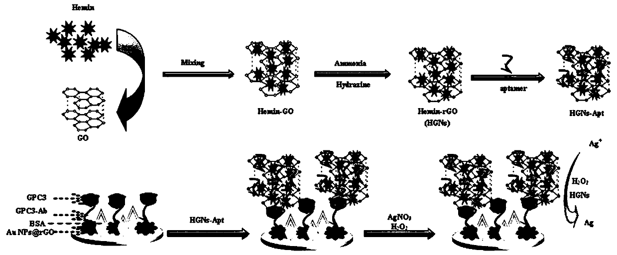 Peroxidase catalytic silver deposition-based method for detecting GPC3