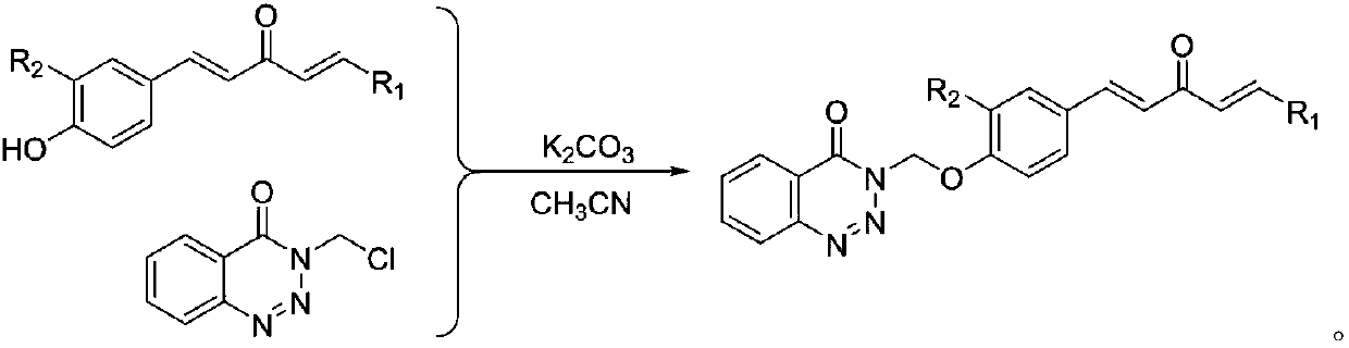 1,4-pentadiene-3-ketone derivative containing benzotriazinone as well as preparation method and application of 1,4-pentadiene-3-ketone derivative