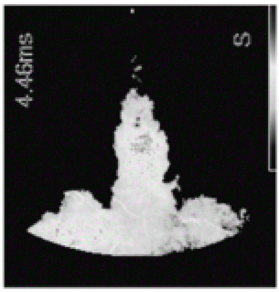 Soot measurement system and soot measurement method by extinction method with pre-positioned light source