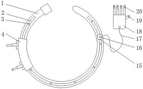 Belt device for agricultural production picking