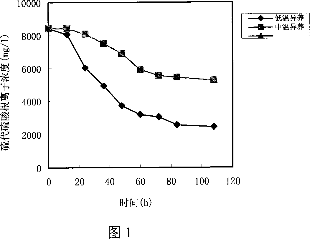 Low temperature prepn process of biological thiosulfate radical ion and hydrogen sulfide removing agent