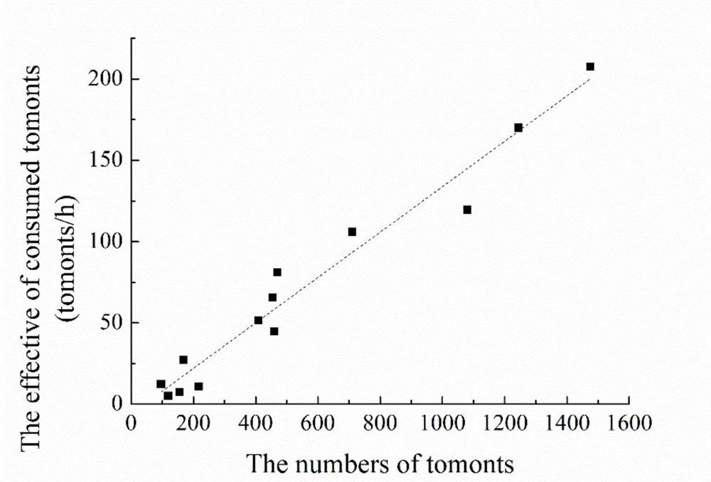 A method of using tilapia biological control to stimulate Cryptocaryon infection