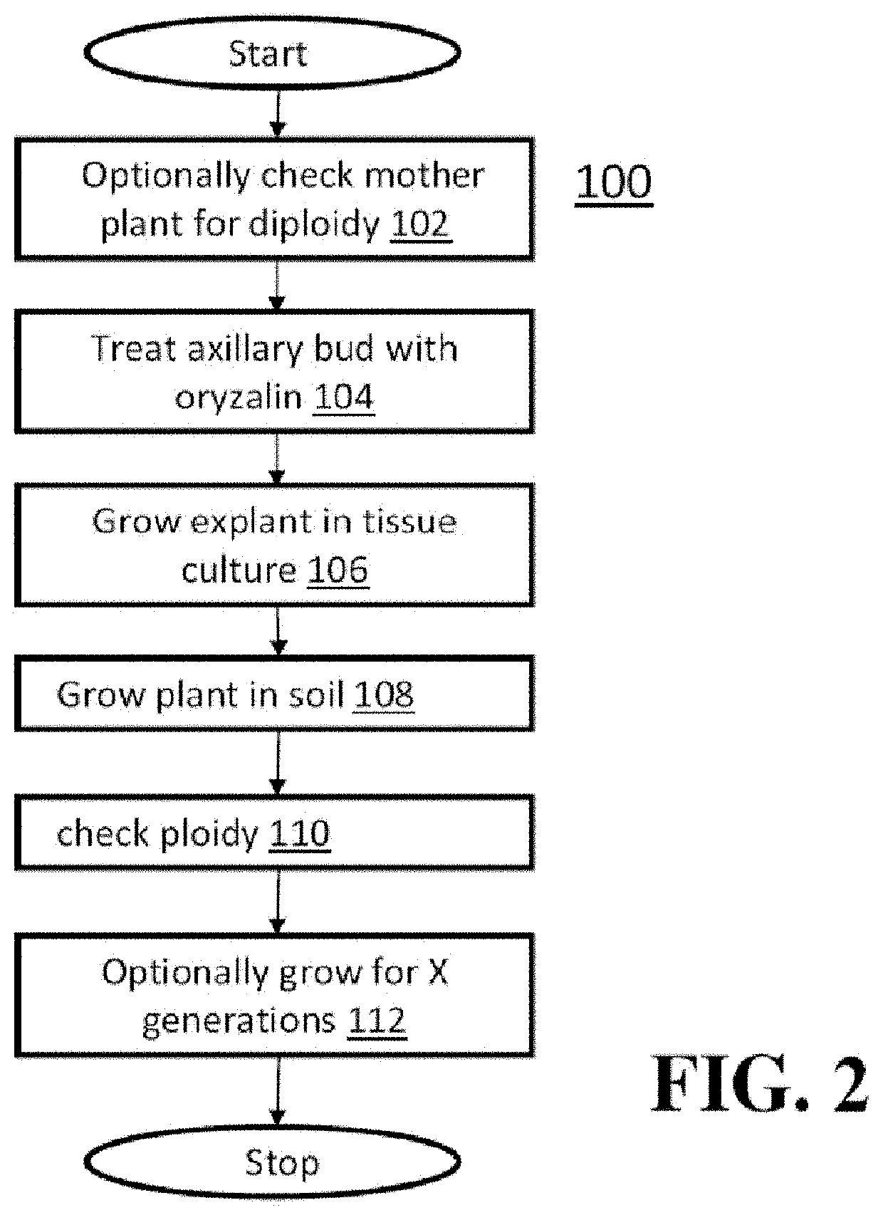 Triploid cannabis plants and methods for generating same