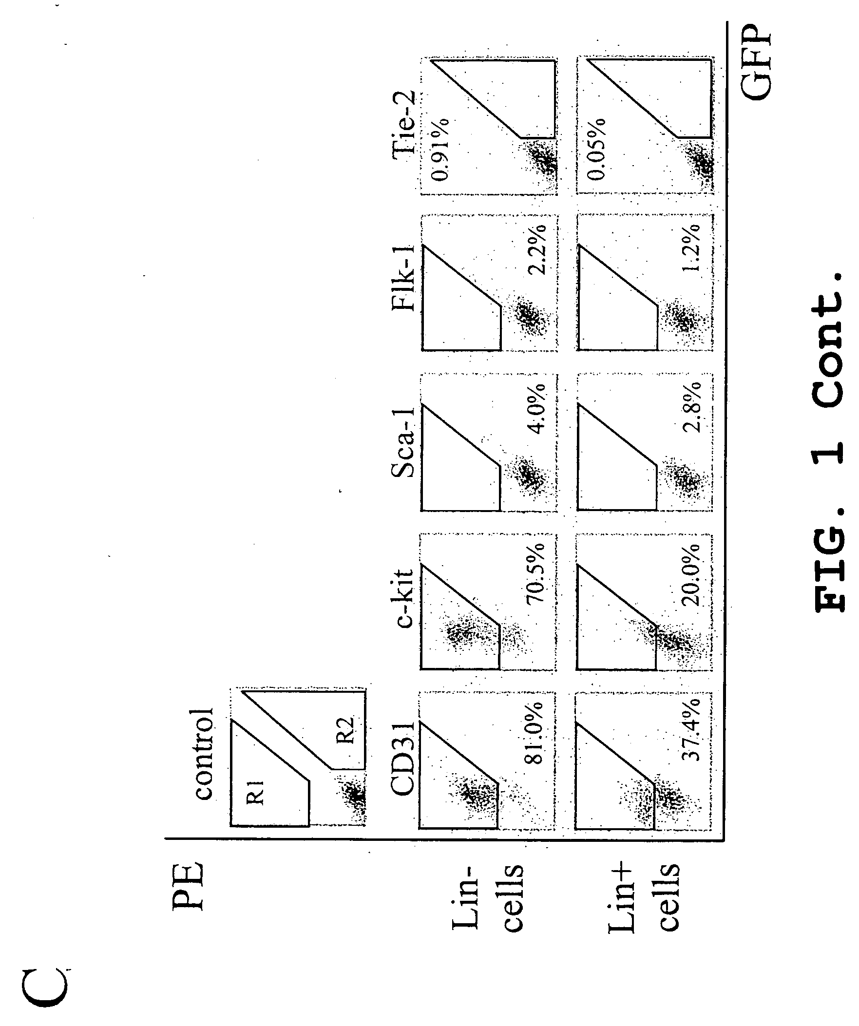 Isolated lineage negative hematopoietic stem cells and methods of treatment therewith