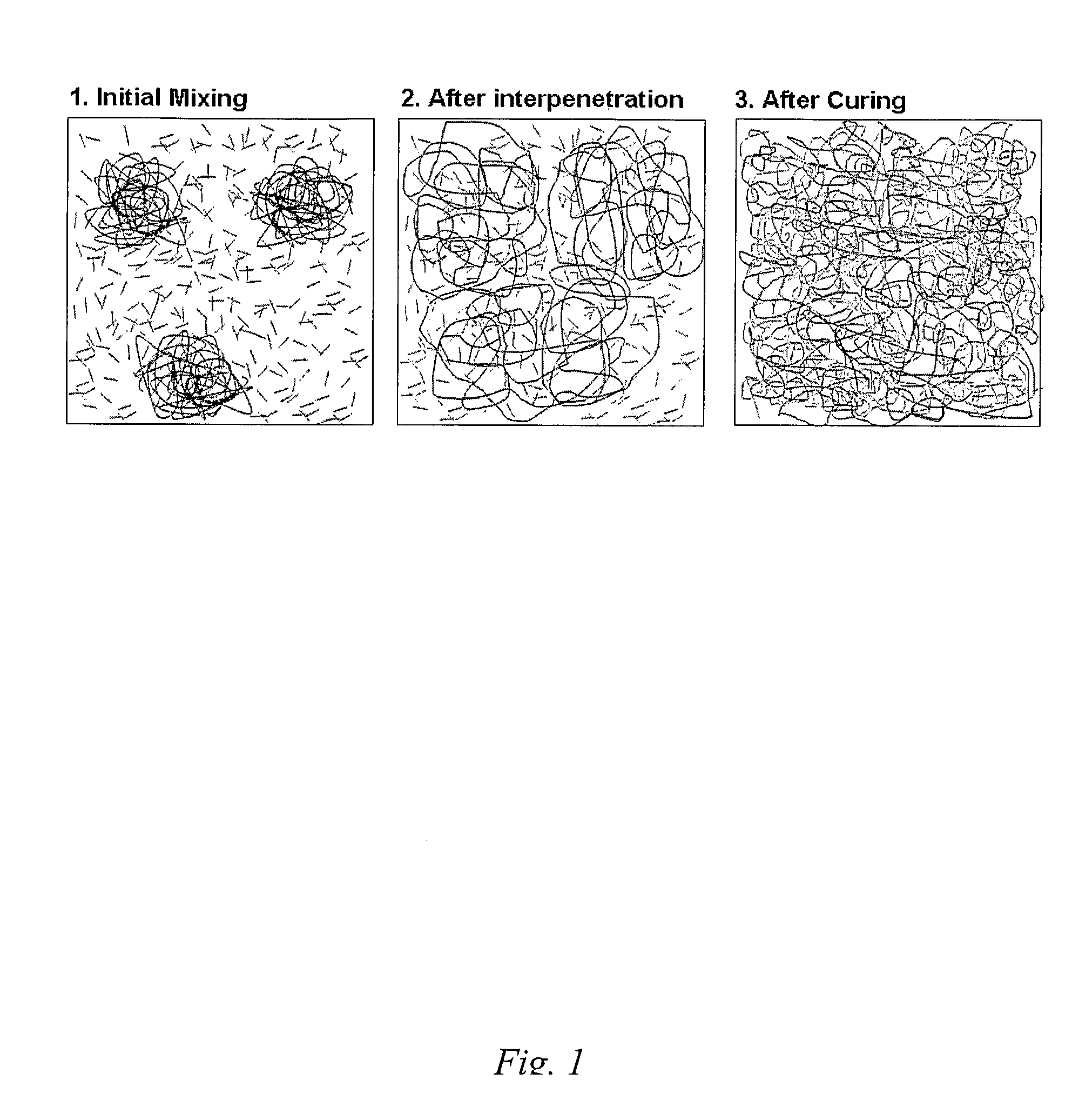 Polymer / Carbon-Nanotube Interpenetrating Networks and Process for Making Same