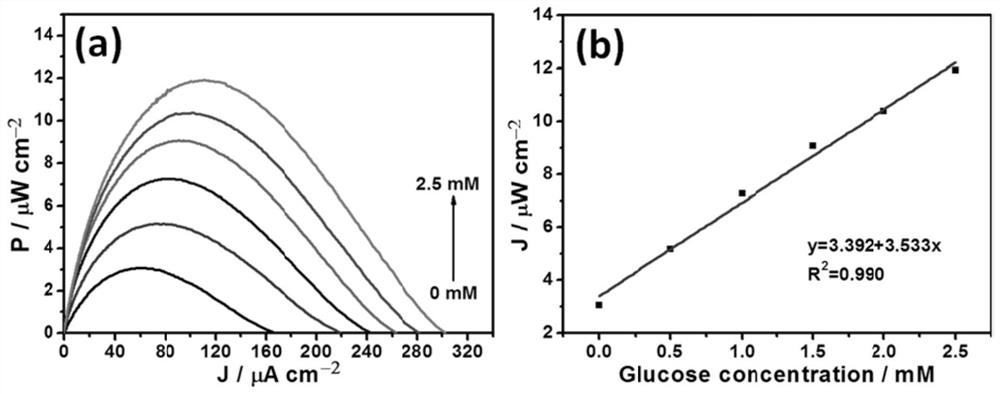 Self-powered photoelectrochemical enzyme-free glucose sensor and preparation method and detection method thereof