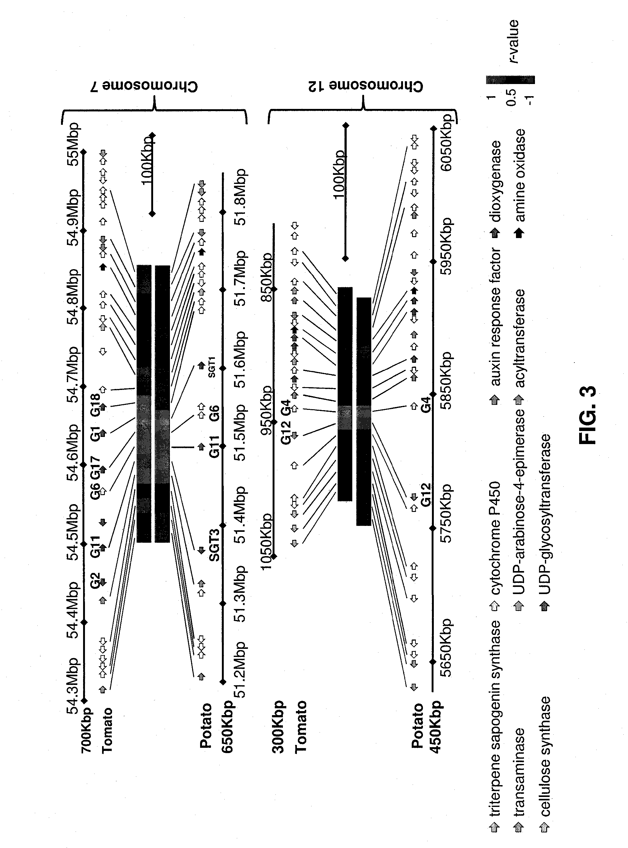 Plant with altered content of steroidal glycoalkaloids