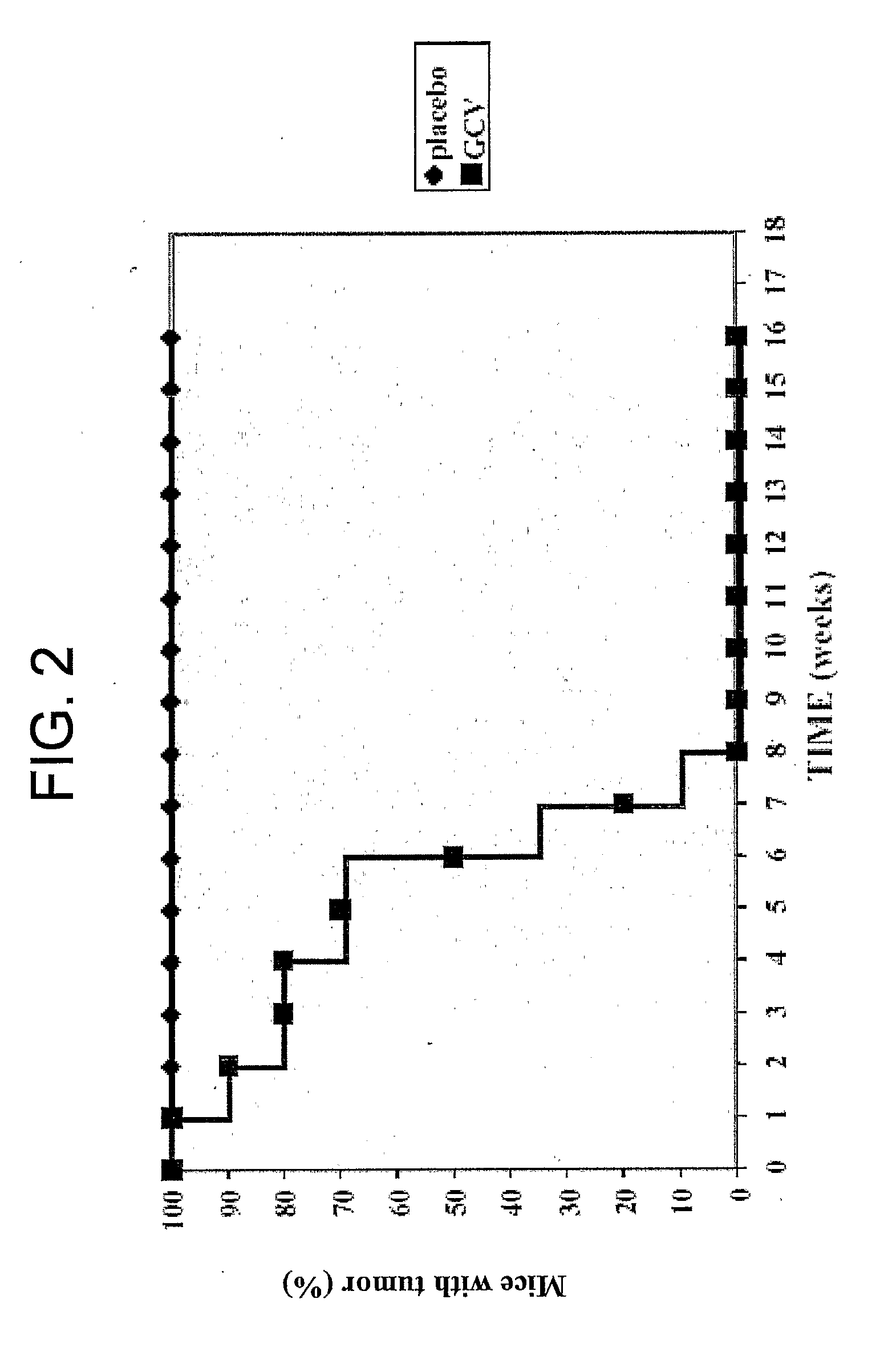 Murine Stem Cells and Applications Thereof