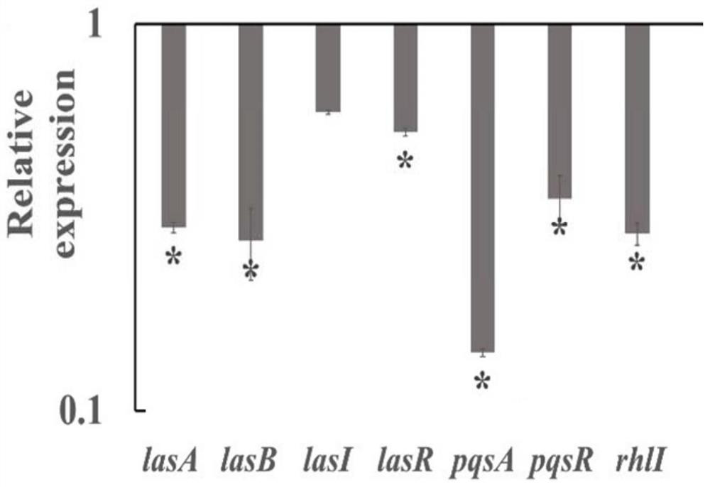 Methyl cinnamate as a quorum sensing inhibitor and its application in the treatment of bacterial diseases