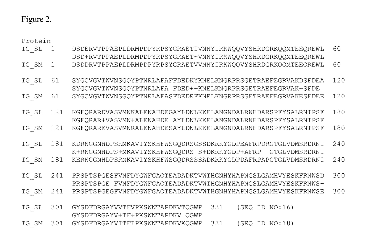 Homogenous antibody drug conjugates via enzymatic methods