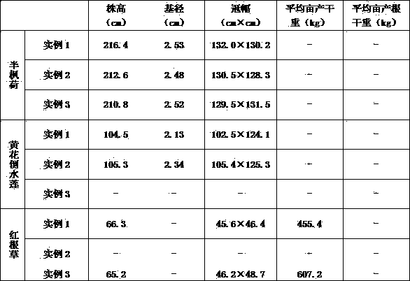 A method of interplanting Chinese herbal medicines in three-dimensional composite mode in the returned farmland in karst area