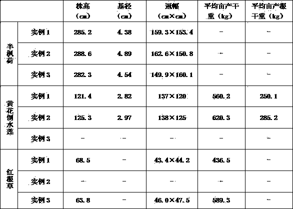 A method of interplanting Chinese herbal medicines in three-dimensional composite mode in the returned farmland in karst area