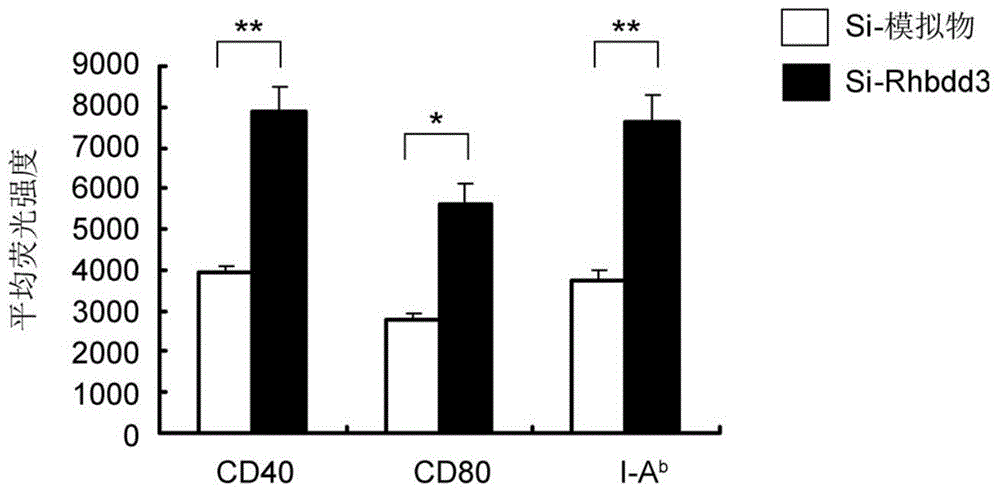 Anti-inflammation effect and application of immuno-regulatory molecule Rhbdd3
